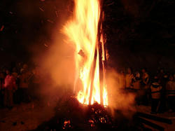 DSC06971.jpg