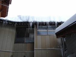 DSC07069.jpg