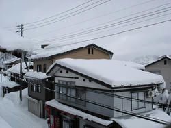 DSC07074.jpg