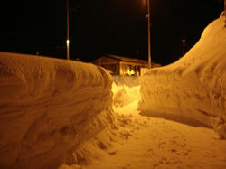 DSC07083.jpg