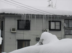 DSC07100.jpg