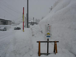 DSC07130.jpg