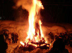 DSC07145.jpg