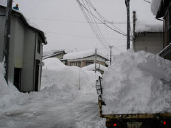 DSC07155.jpg