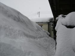 DSC07188.jpg