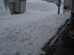 DSC07196.jpg
