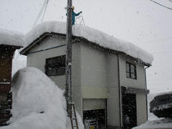 DSC07202.jpg