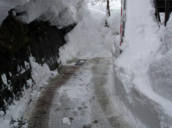 DSC07209.jpg