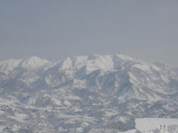 DSC07216.jpg