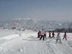 DSC07225.jpg
