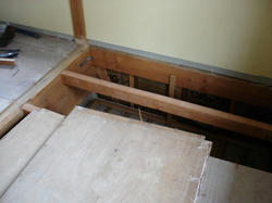DSC07248.jpg