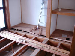 DSC07252.jpg