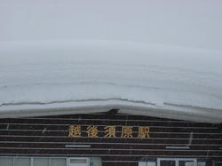 DSC07283.jpg