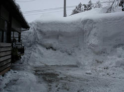 DSC07286.jpg