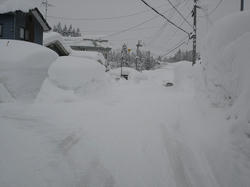 DSC07292.jpg