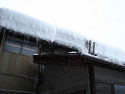 DSC07294.jpg