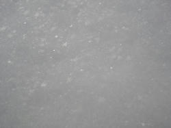 DSC07304.jpg