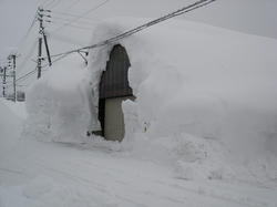 DSC07330.jpg