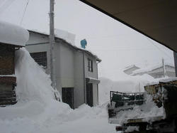 DSC07333.jpg