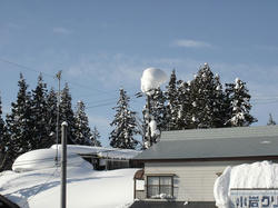 DSC07357.jpg