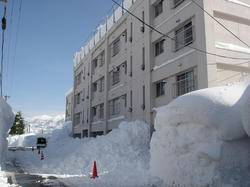 DSC07360.jpg