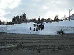 DSC07384.jpg