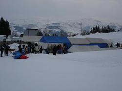 DSC07385.jpg