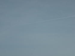 DSC07399.jpg
