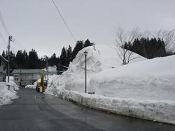 DSC07443.jpg
