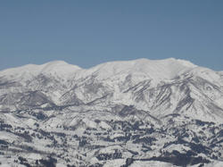 DSC07525.jpg