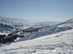 DSC07526.jpg