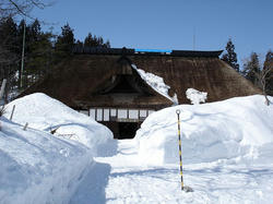 DSC07544.jpg