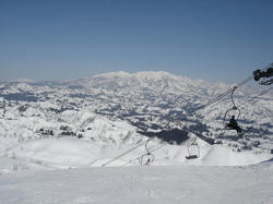 DSC07559.jpg