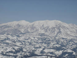DSC07560.jpg