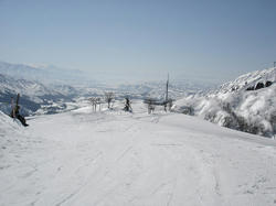 DSC07566.jpg
