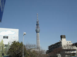 DSC07774.jpg