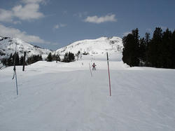 DSC07823.jpg