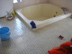 DSC07896.jpg