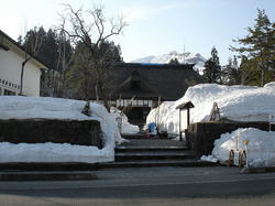 DSC07943.jpg