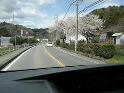 DSC07967.jpg