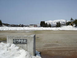 DSC07995.jpg