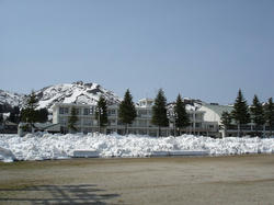 DSC07997.jpg