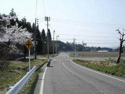DSC08023.jpg