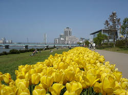 DSC08107.jpg