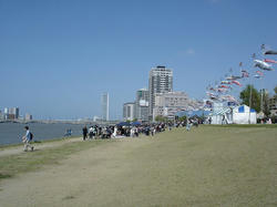 DSC08110.jpg