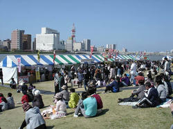 DSC08117.jpg