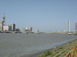 DSC08124.jpg