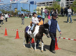 DSC08128.jpg