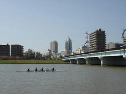 DSC08137.jpg