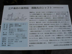 DSC08158.jpg
